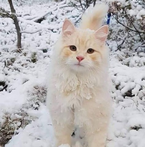 Meet your Posher, Lynn - Picture 1 of 1